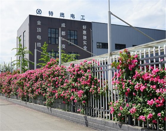 金顶电缆 金顶电缆